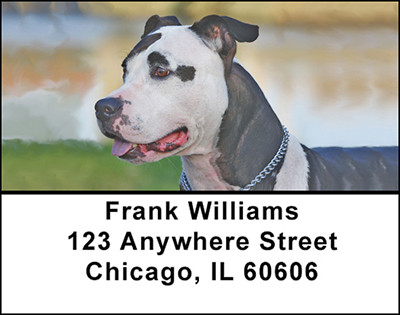 Amstaff Address Labels | LBBAA-11