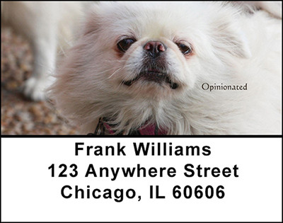 Pekingese Address Labels | LBBAA-16