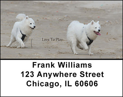White Samoyed Address Labels | LBBAA-19