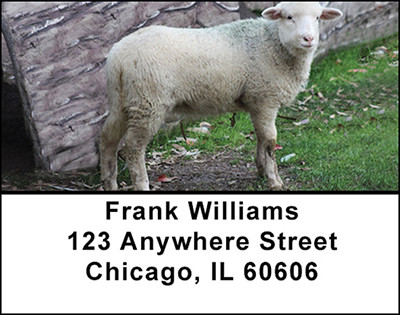 Sheep Address Labels | LBBAA-27