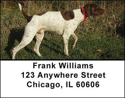 German Short-Haired Pointer Address Labels | LBBAB-30