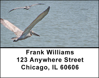 A Pelicans Life Address Labels | LBBAB-37