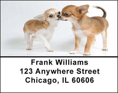 Playful Chichuahuas Address Labels | LBBAB-38