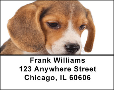 Beagle Dog Breed Address Labels | LBBAC-38