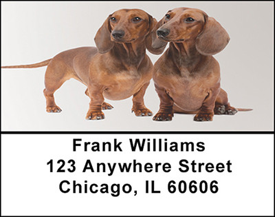 Daschund Dog Breed Address Labels | LBBAC-46