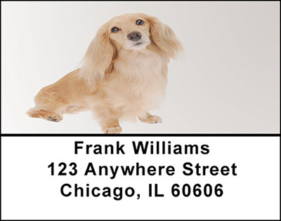 Daschund Kaninchen Address Labels | LBBAC-47
