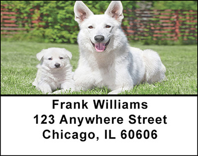 White Swiss Shepherd Address Labels | LBBAC-48
