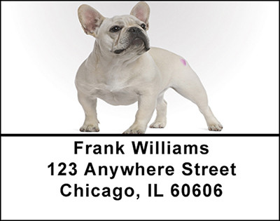 French Bull Dog Address Labels | LBBAC-53