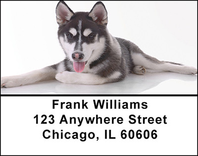 Siberian Husky Dog Address Labels | LBBAC-55