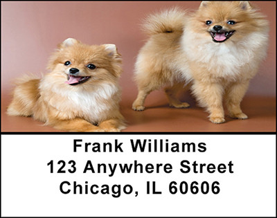 Pomeranian Dog Breed Address Labels | LBBAC-56