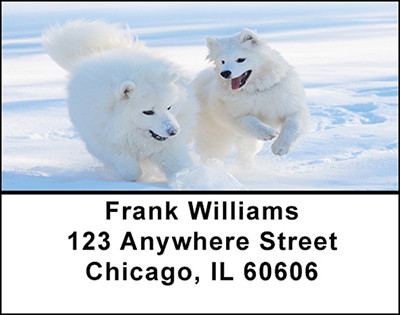 Samoyede Dogs Address Labels | LBBAC-65