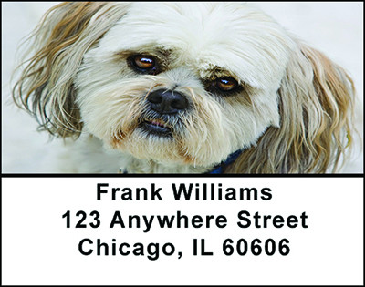 Shih Tzu Puppy Dog Eyes Address Labels | LBBAC-67