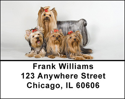 Yorkshire Terrier Dog Address Labels | LBBAC-72