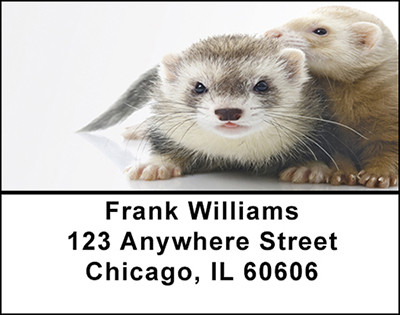 Ferrets Address Labels | LBBAC-87
