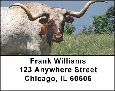 Longhorns Address Labels | LBBAC-94