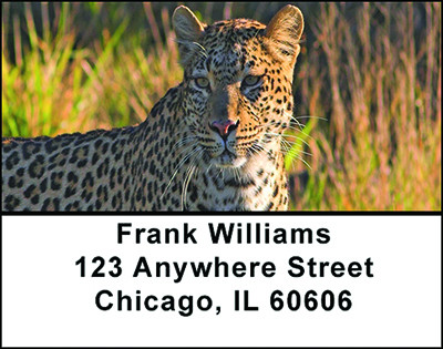 Leopards Address Labels | LBBAD-03