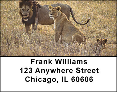 Lion Family Address Labels | LBBAD-04