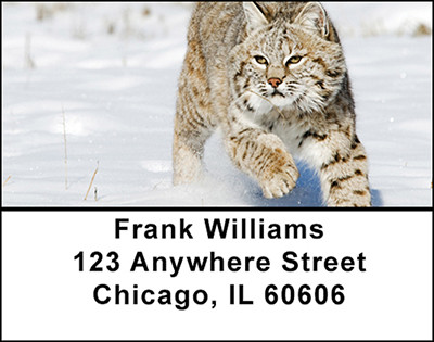 Lynx Action Address Labels | LBBAD-06