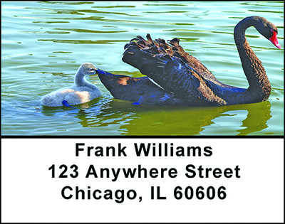 Black Swan Beauty Address Labels | LBBAE-42