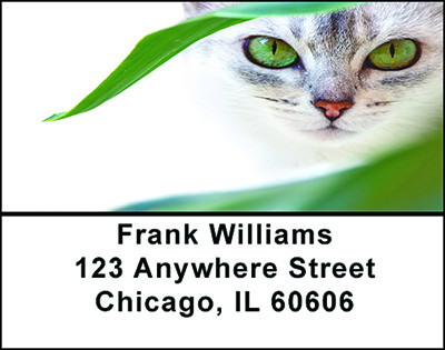 Kitty Cats Eyes Address Labels | LBBAE-70
