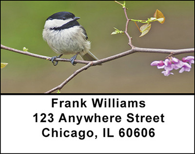Cute Chickadees Address Labels | LBBAE-72