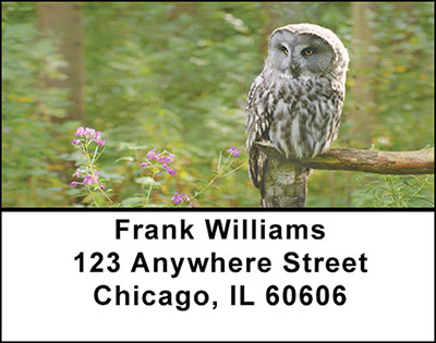 Owls On Break Address Labels | LBBAE-84