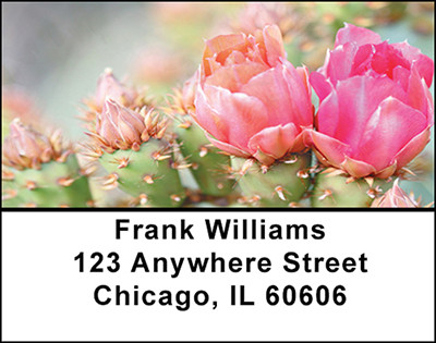 Cactus Desert Flowers Address Labels | LBBAF-20