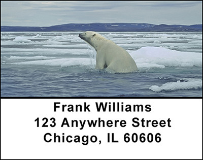 Polar Bears in the Arctic Address Labels | LBBAF-47