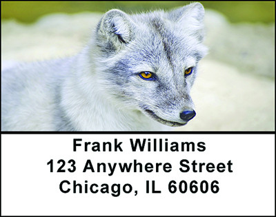 White Arctic Fox Address Labels | LBBAF-56