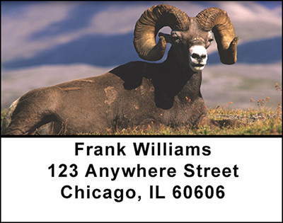Majestic Big Game Address Labels | LBBAH-21