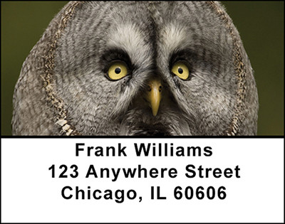 Owls Address Labels | LBBAH-97