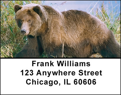 Large Bear Address Labels | LBBAI-25