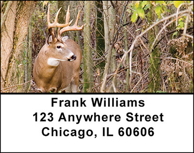 North American Deer Family Address Labels | LBBAI-29