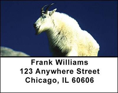 Rocky Mountain Wildlife Address Labels | LBBAI-30