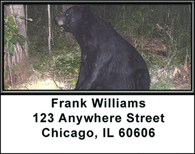Bear Baiting Address Labels | LBBAK-01