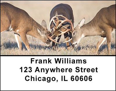 Rutting Whitetail Bucks Address Labels | LBBAK-21