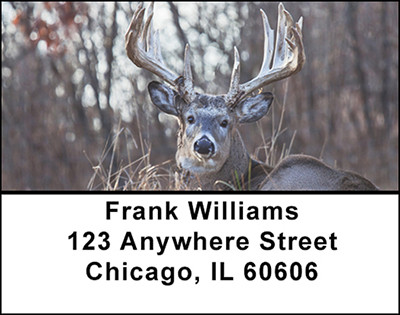 Monster Trophy Bucks Address Labels | LBBAK-22