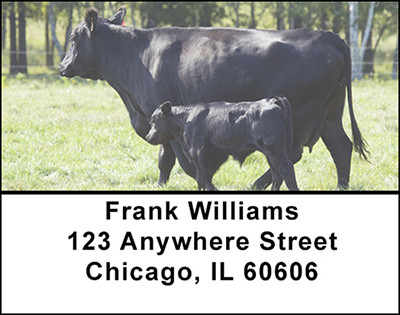 Black Angus Cattle Address Labels | LBBAK-27