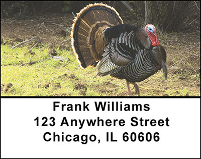 Wild Turkey's Address Labels | LBBAK-32
