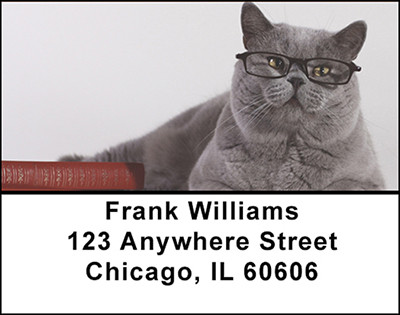 Smart Cats Address Labels | LBBAK-60