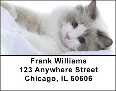Loving Kitty's Address Labels | LBBAK-66