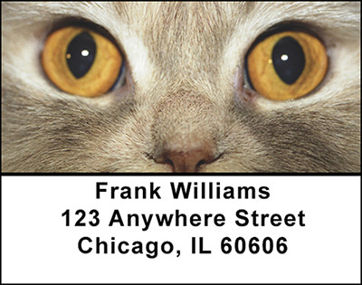 Cat's Eyes Address Labels | LBBAK-67