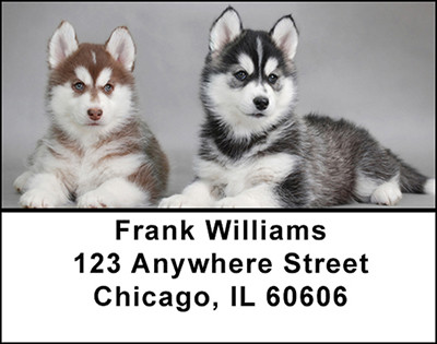 Siberian Huskies Address Labels | LBBAK-94