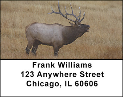 Mountain Elk Address Labels | LBBAL-11