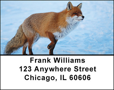 Foxy Fox Address Labels | LBBAM-64