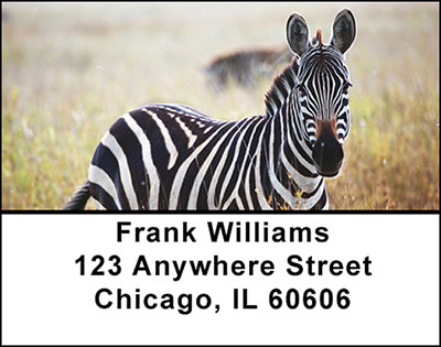 African Safari Address Labels | LBBAO-02