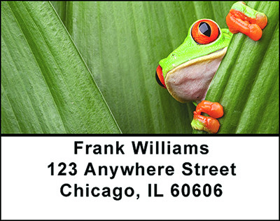 Froggy The Tree Frog Address Labels | LBBAO-23