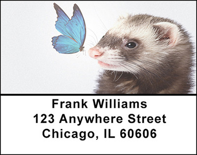 Ferret Curiosity Address Labels | LBBAP-65