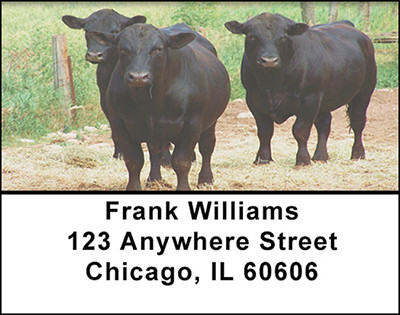 Black Angus Pride Address Labels | LBBAQ-08