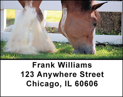 Clydesdale Horses Address Labels | LBBAQ-87